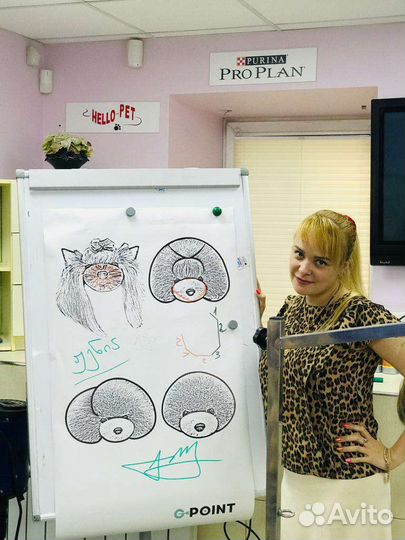Курсы груминга с трудоустройством