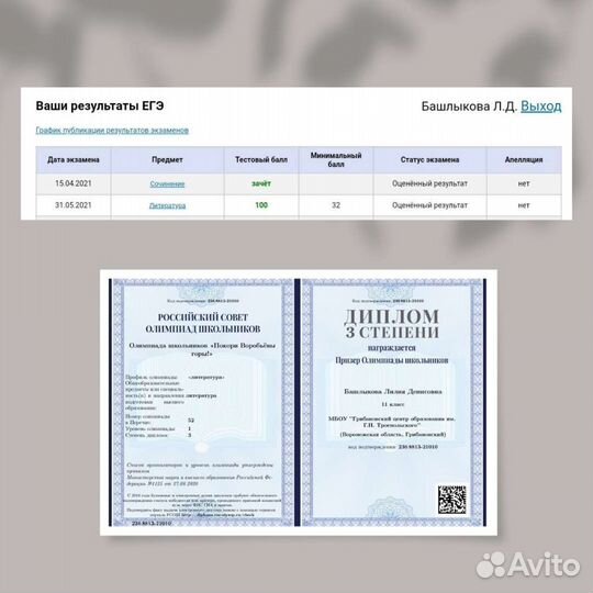 Репетитор по литературе (егэ/огэ/олимпиады)
