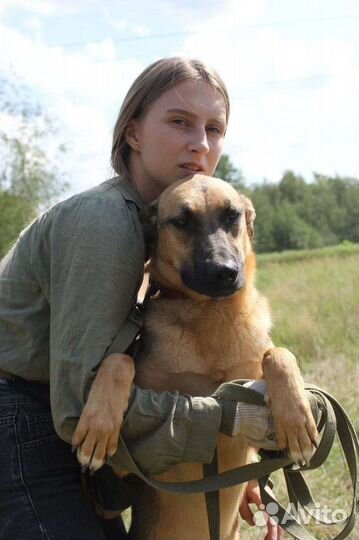 Лео хочет домой