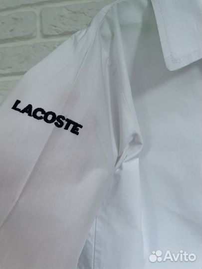 Рубашка lacoste