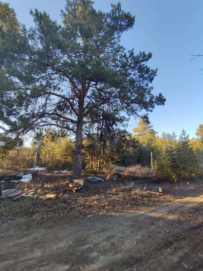 Участок 7,3 сот. (ИЖС)