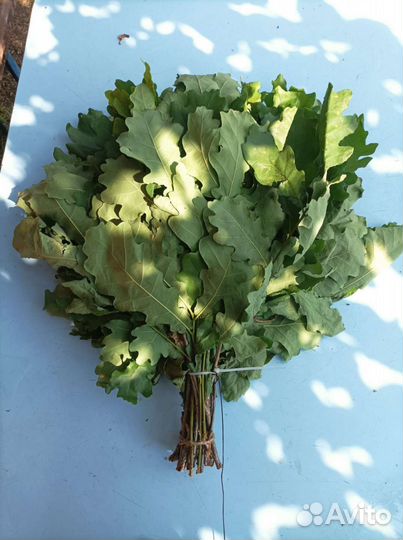 Банные веники