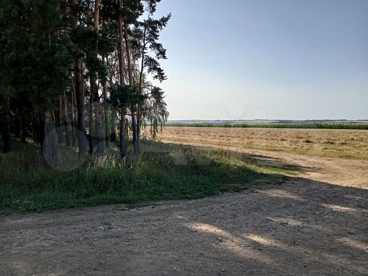 Участок 12 га (СНТ, ДНП)