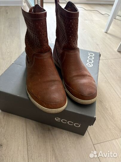 Кожаные ботинки Экко