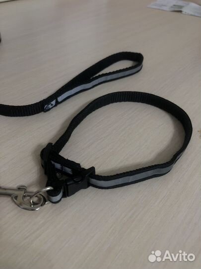 Поводок и ошейник для кошек