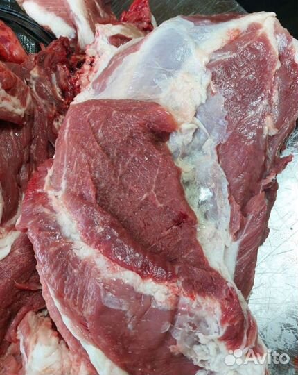 Мясо свинины домашнее