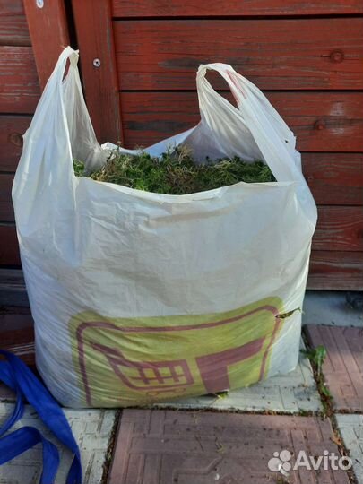 Пакет для пересадки