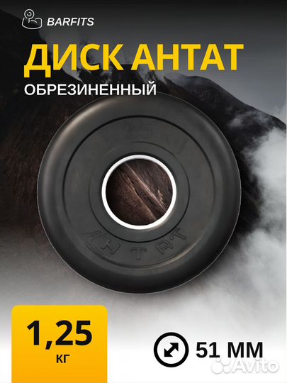 Диск Антат обрезиненный 51 мм 1,25 кг, черный