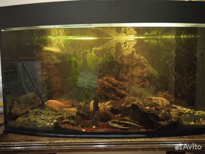 Аквариум
