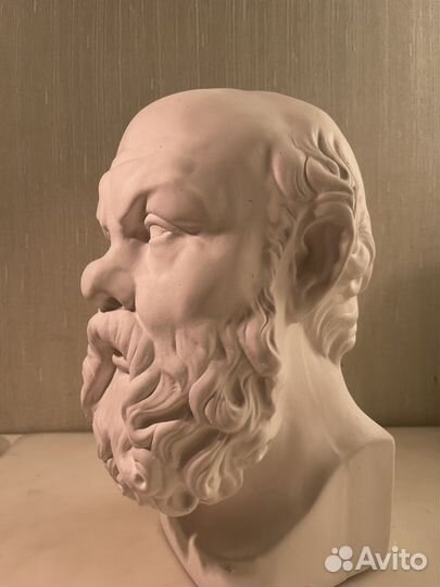 Гипсовая голова Сократа