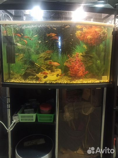 Аквариум