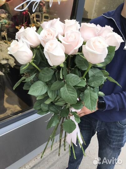 Розы эквадор 80см Доставка Цветы