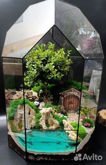 Флорариум с живыми растениями