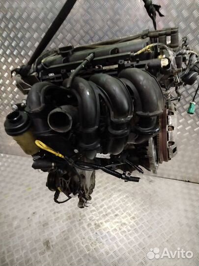 Двигатель hwdb Ford Focus 2 1.6 Бензин