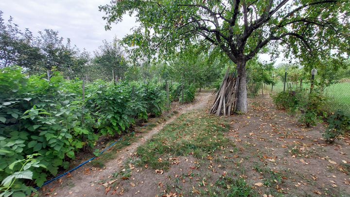 Дом 30 м² на участке 20 сот.