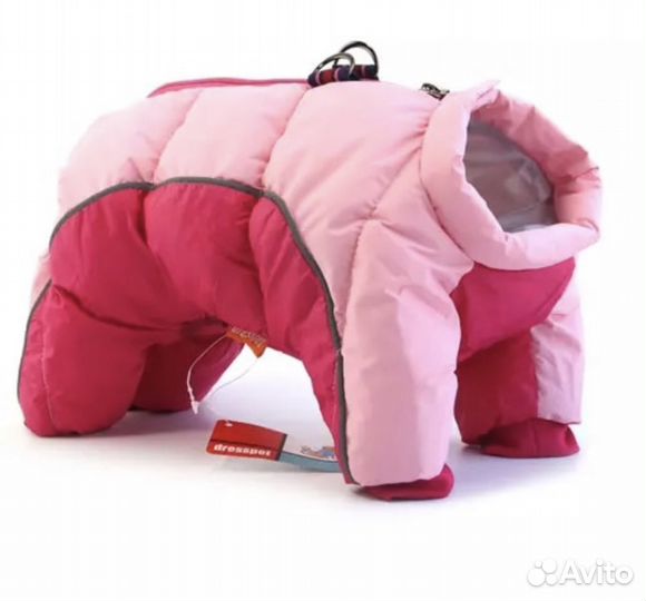 Одежда для собак