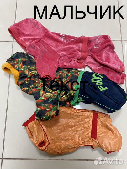 Пальто и дождевики для собак новые