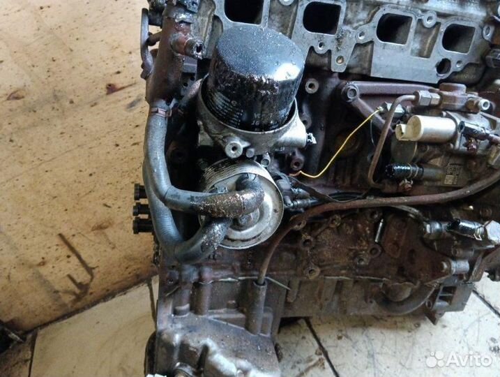 Двигатель Nissan Navara YD25DDTi