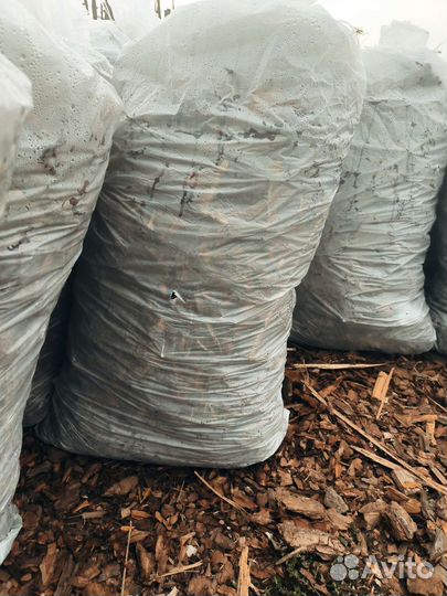 Кора сосны мешки 60л