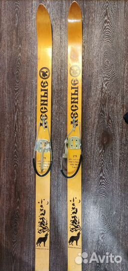 Лыжи лесные, ГОСТ, 175