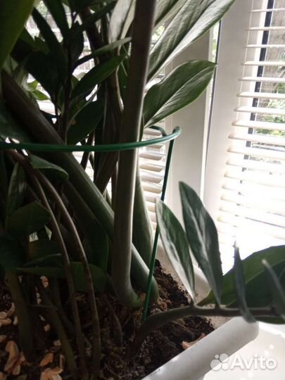 Опора для цветов