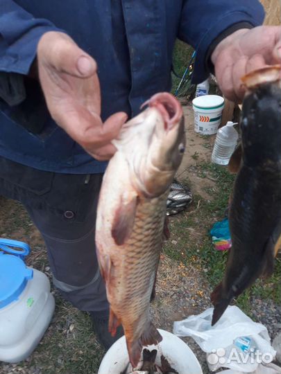 База, кемпинг, рыбалка