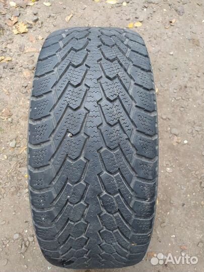 Nexen Winguard 195/55 R15