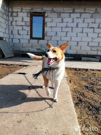 Девочка 8-9 месяцев