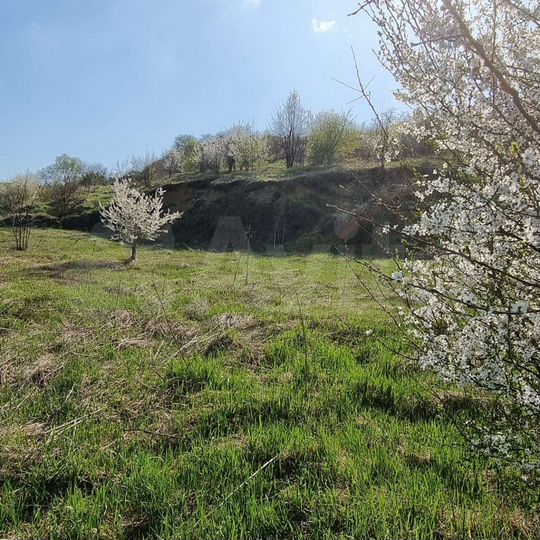 Участок 8 сот. (ИЖС)