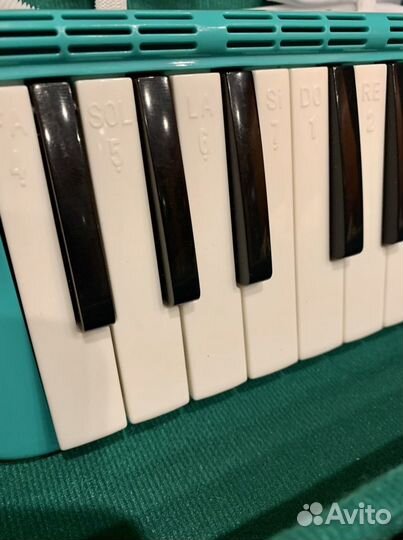 Мелодика + кейс (комплект)