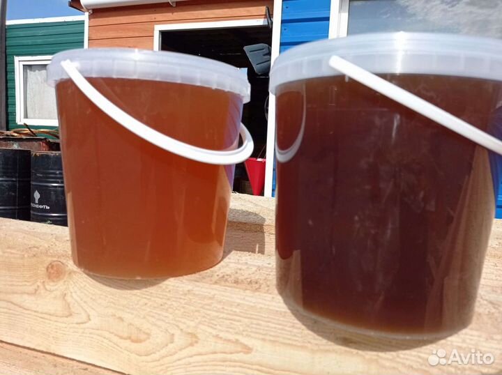 Мёд Алтайский