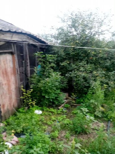 Дом 45 м² на участке 30 сот.