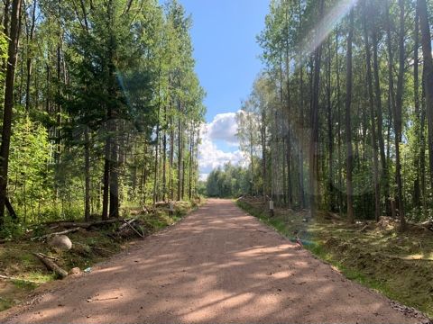 Участок 11 сот. (СНТ, ДНП)