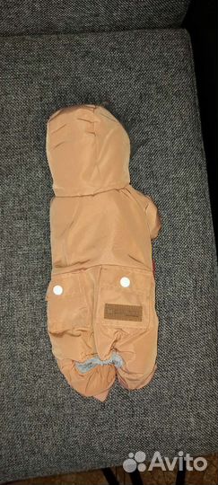 Одежда для маленьких собак