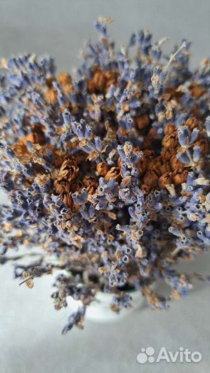 Кашпо с лавандой