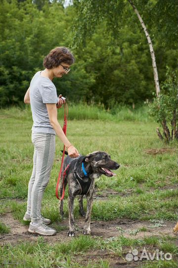 Рик нуждается в любящей семье