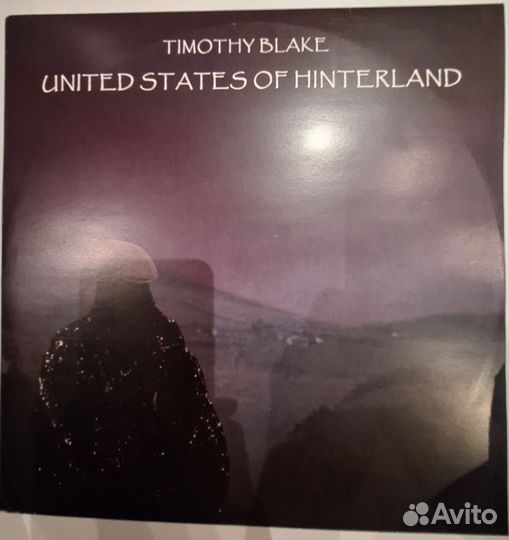 Timothy Blake – United States Of Hinterland