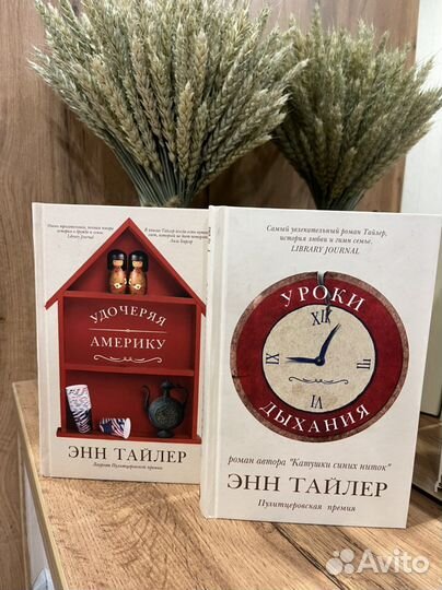 Книги Энн Тайлер