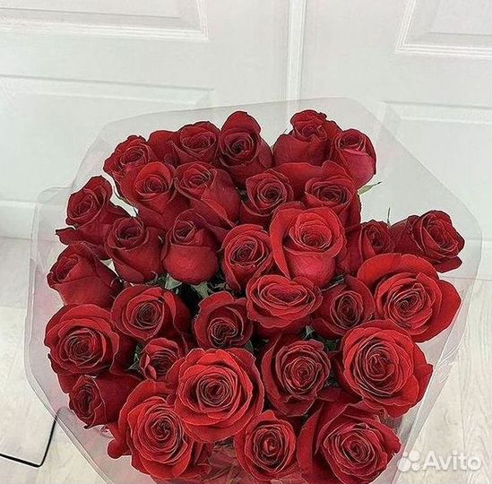 Розы гиганты 140 150 160 170 180 200