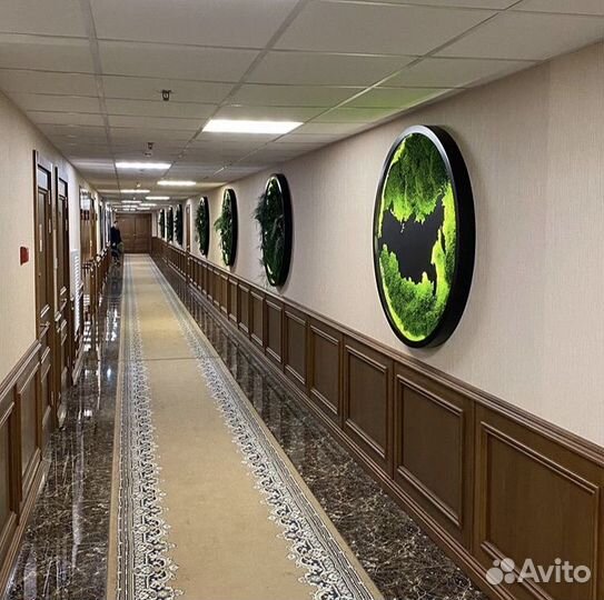 Мох, Любые Панно из Мха: Карта Мира, Круг, Древо