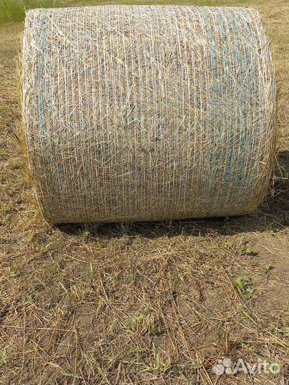 Сено в упаковке