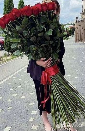 Розы Высокие 150см 160см 170см 180см 190см 2м
