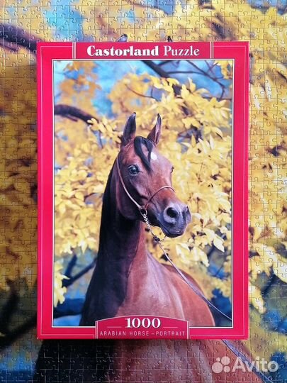 Пазлы разные от 500 до 1000 шт