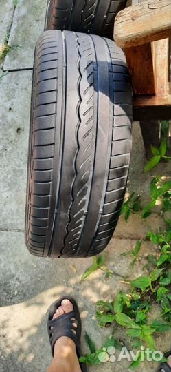 Dunlop Conquest Sport A/S 195/55 R15