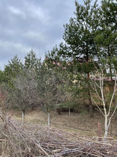 Участок 6 сот. (ИЖС)