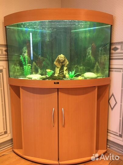 Аквариум угловой с тумбой juwel trigon