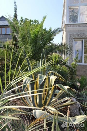 Крым. Морское(Судак). До моря 200 метров. Владелец