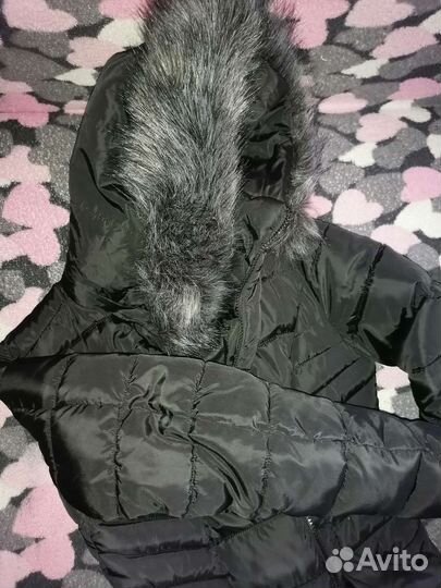 Куртки зима и весна