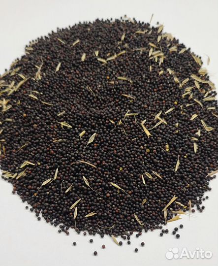 Просо, сафлор, лён, рапс, канареечное семя