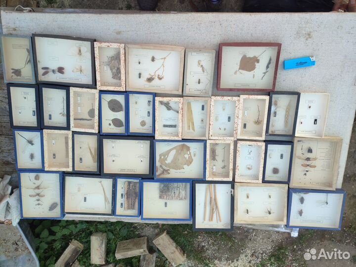 Наглядные пособия СССР